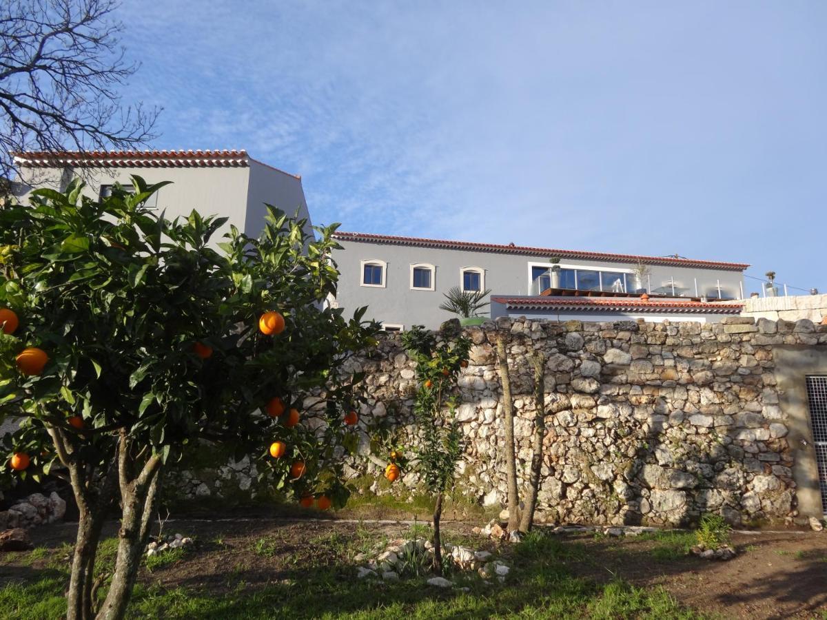 Casa da Riguerinha Monsanto Exterior foto